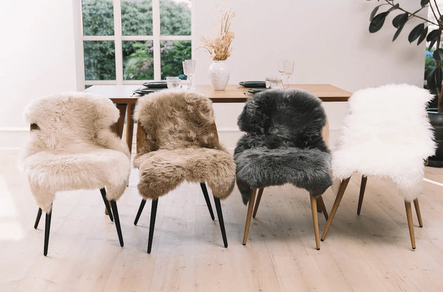 Lammeskind - Nordicsheep.dk