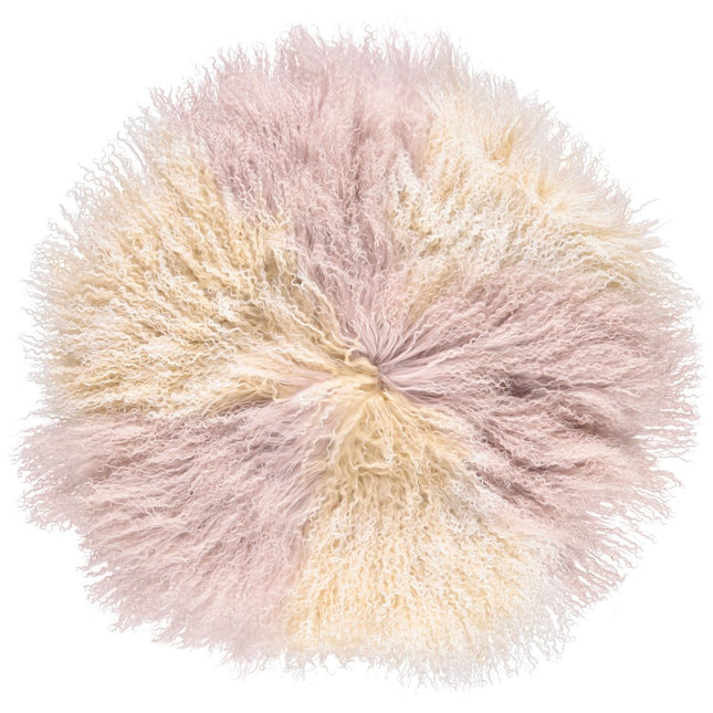 Arktisk solopgang/due